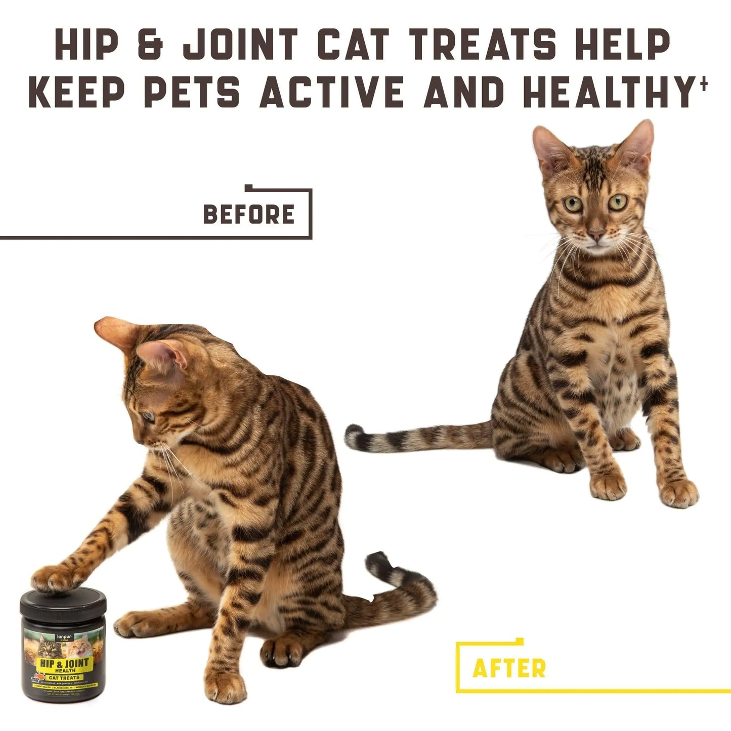 Natural Glucosamine for Cats Effective Cat Joint Supplement That Helps Improve